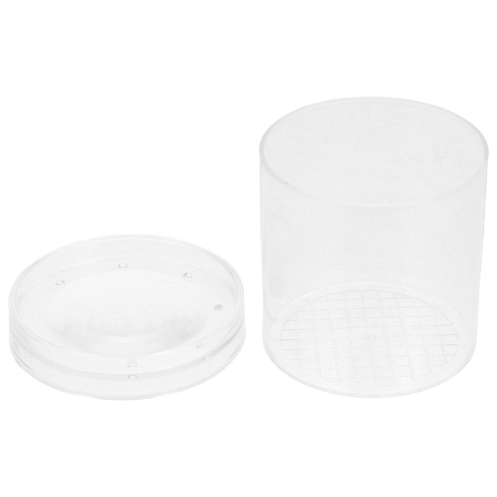 Kids Educational Box - 3X Magnifying Insect Observation Box Kids