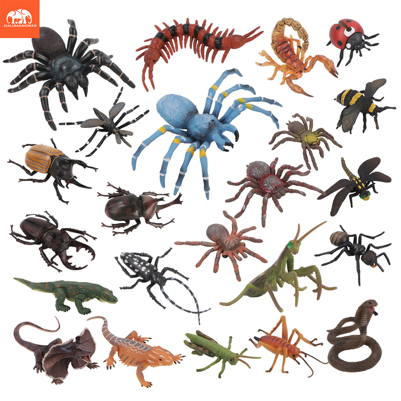 Kids Educational Box - Educational Simulation Insect & Wild Animal