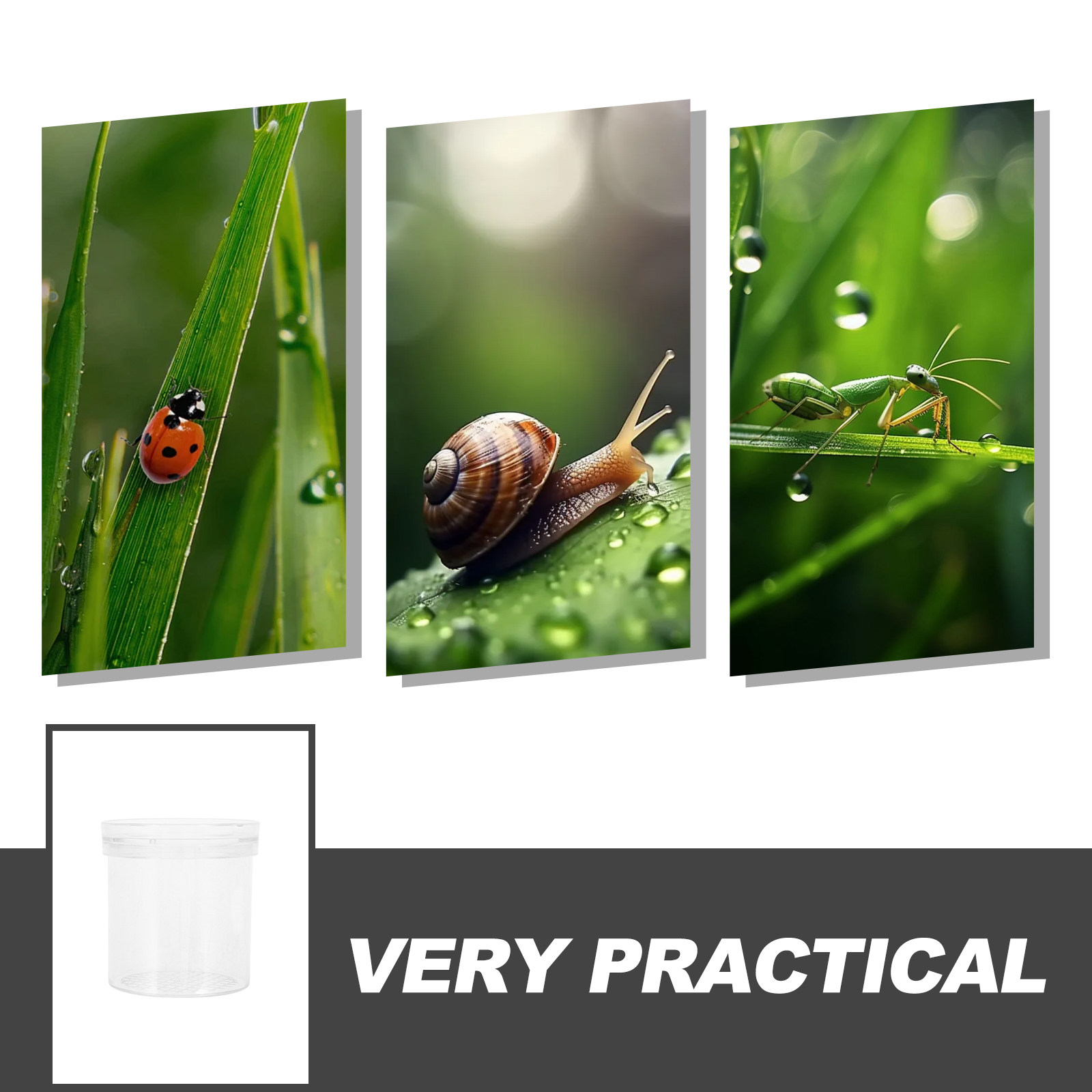 3X Magnifying Insect Observati - огляд і ціна Kids Educational Box