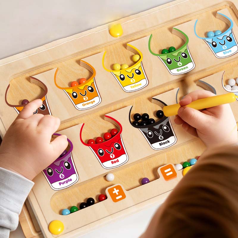 Magnetic Sorting Games Montess - огляд і ціна Kids Educational Box