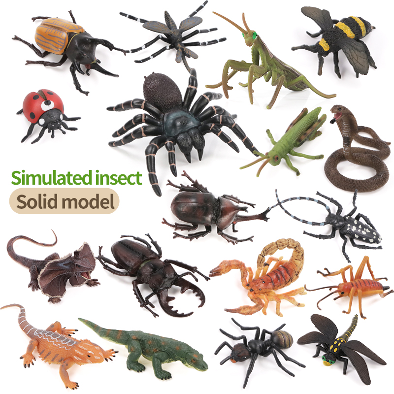 Educational Simulation Insect  - огляд і ціна Kids Educational Box